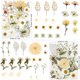 thumbnail image 2 of Flores Secas Prensadas LUXEEASE 80 Unidades, 2 of 3