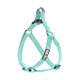 thumbnail image 1 of Arnés para perro Pawtitas S reflectante ajustable color teal, 1 of 8