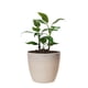 thumbnail image 2 of Macetero Umbra 27 Piedra Gris Set x3 Unidades – Bosco, 2 of 3