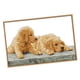 thumbnail image 2 of Kit de punto de cruz de dos perros DIY, contado para principiantes, 59 x 39 cm, 11CT, sellado, 2 of 5