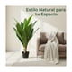 thumbnail image 2 of Planta Artificial Dracaena Hojas Largas 120 cm, 2 of 9