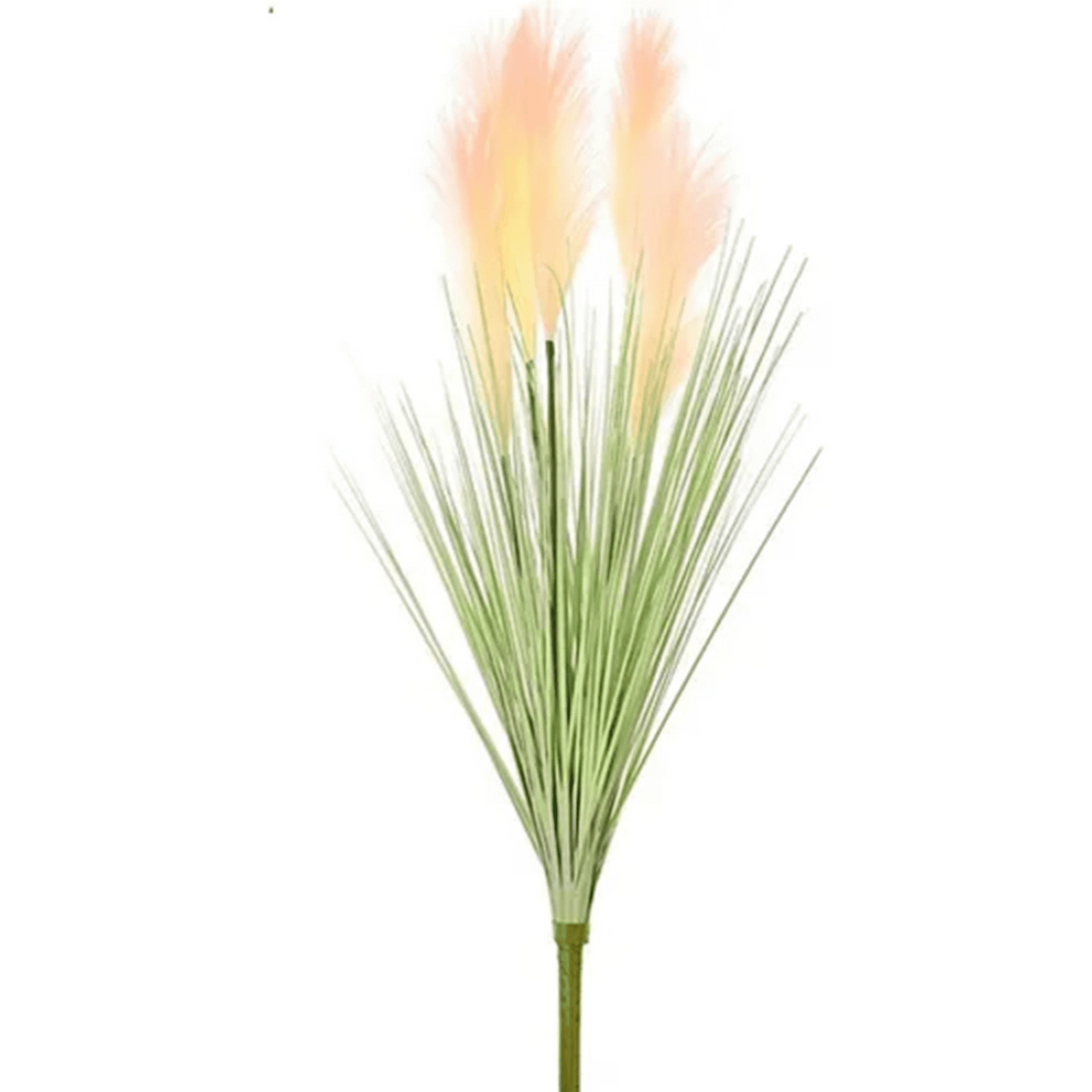 Genérico - Cola De Zorro Hierba Pampa Artificial Vara Larga