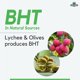 thumbnail image 5 of Polvo BHT MYOC 113 g – Antioxidante de Grado Cosmético, 5 of 6
