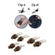 thumbnail image 3 of Kit de reparación instantánea de 6 tiradores de cremallera para bolsos, chaquetas, equipaje y mochilas., 3 of 6