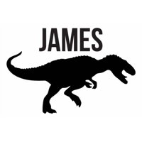 Rienda Libre Graphics - Decomural Personalised Name Dinosaur T-Rex Ws-43142