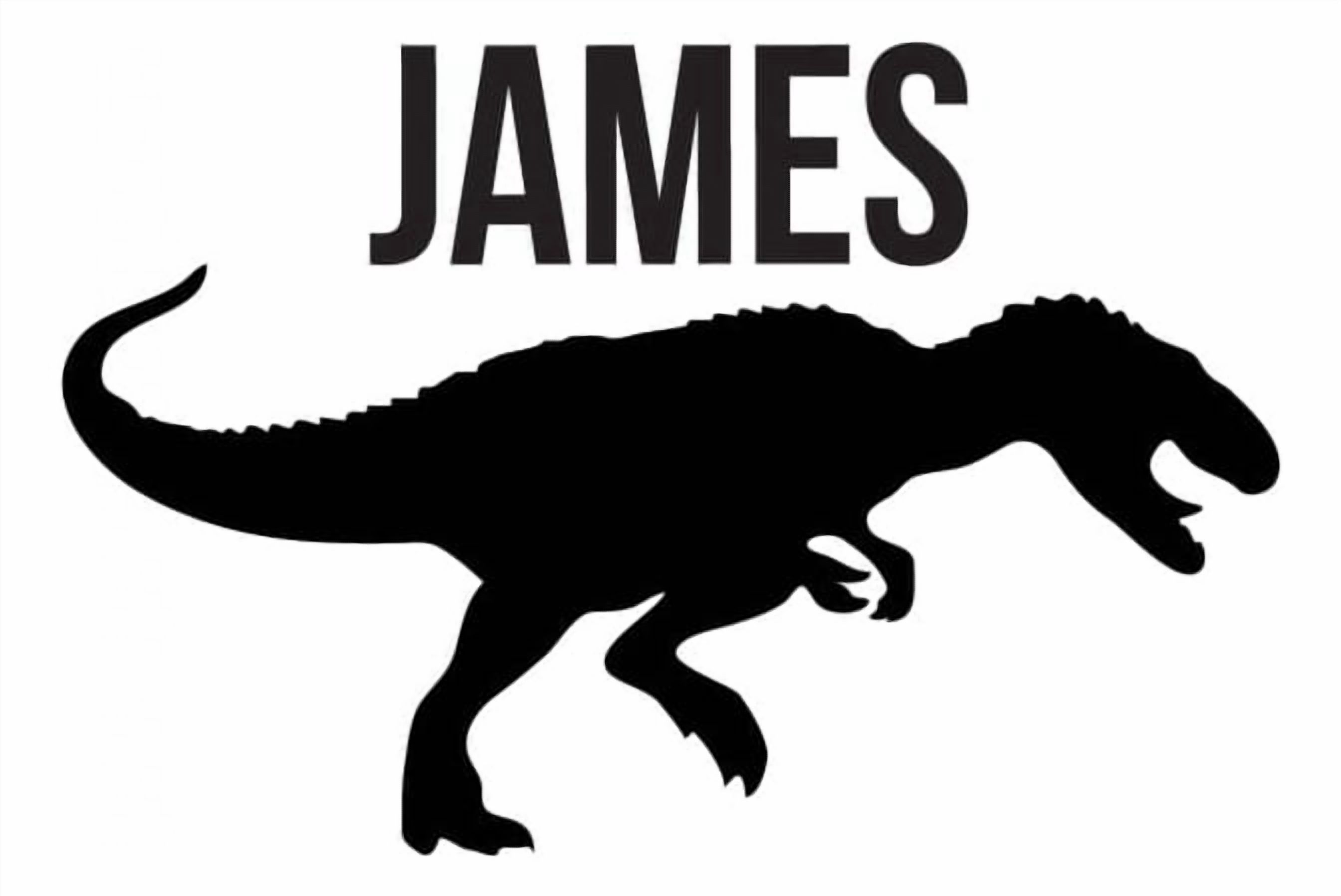 Rienda Libre Graphics - Decomural Personalised Name Dinosaur T-Rex Ws-43142