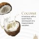 thumbnail image 2 of Incienso Gonesh Coco 5 paquetes (100 en total), 2 of 6