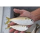 thumbnail image 3 of Tratamiento de Agua Fish Krack 454 ml Aditivo para Peces de Cebo, 3 of 9