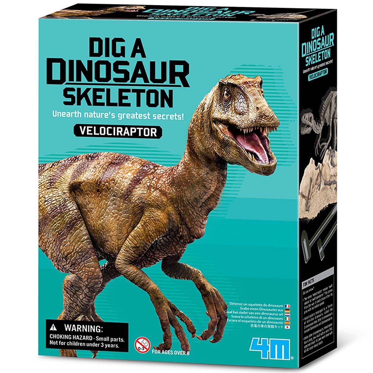 4m - Dinosaurio Velociraptor Excava