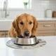 thumbnail image 4 of Plato Para Perro Gato Talla M Antideslizante Capacidad 450ml Plateado, 4 of 4