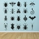 thumbnail image 2 of Decomural Insects Pests Spider Bee Ant Set WS-47145, 2 of 2