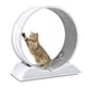 thumbnail image 1 of Rueda Para Gato Segura XXL De Entrenamiento, 1 of 5