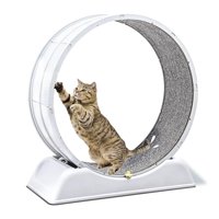 Mundo Online - Rueda Para Gato Segura Xxl De Entrenamiento