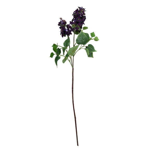 Lila Morada 85cm Con Acabado Natural