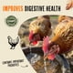 thumbnail image 2 of Potenciador de inmunidad y digestión para pollos Roosty's Omega-3, 2 of 5