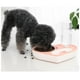 thumbnail image 3 of Plato Tazon Comida Para Mascotas Dispensador Agua Automatico, 3 of 6