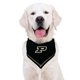 thumbnail image 5 of Bandana para mascotas Pets First S/M Purdue Boilermakers con corbata, 5 of 6