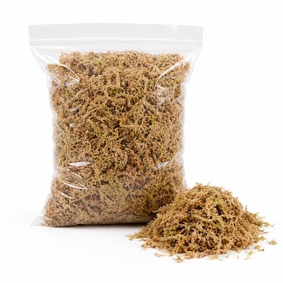 Musgo Sphagnum 1kG no deshidratado