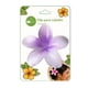 thumbnail image 1 of Clip para Cabello, Flor, 1 Un, 1 of 9