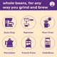 thumbnail image 5 of Coffee Bean Direct Café en grano entero sabor Highlander Grogg 2.27 kg, 5 of 9