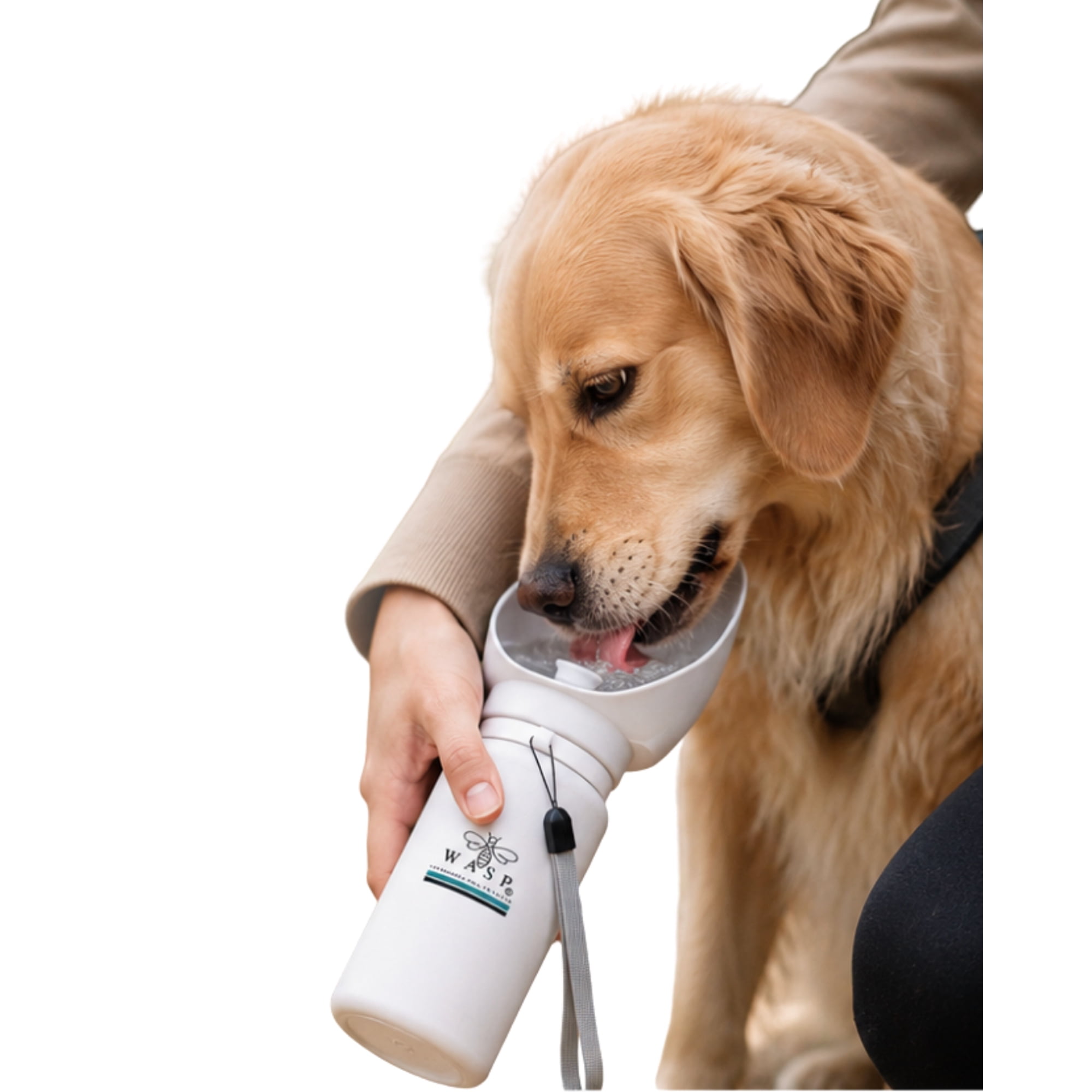Botella de agua para perros