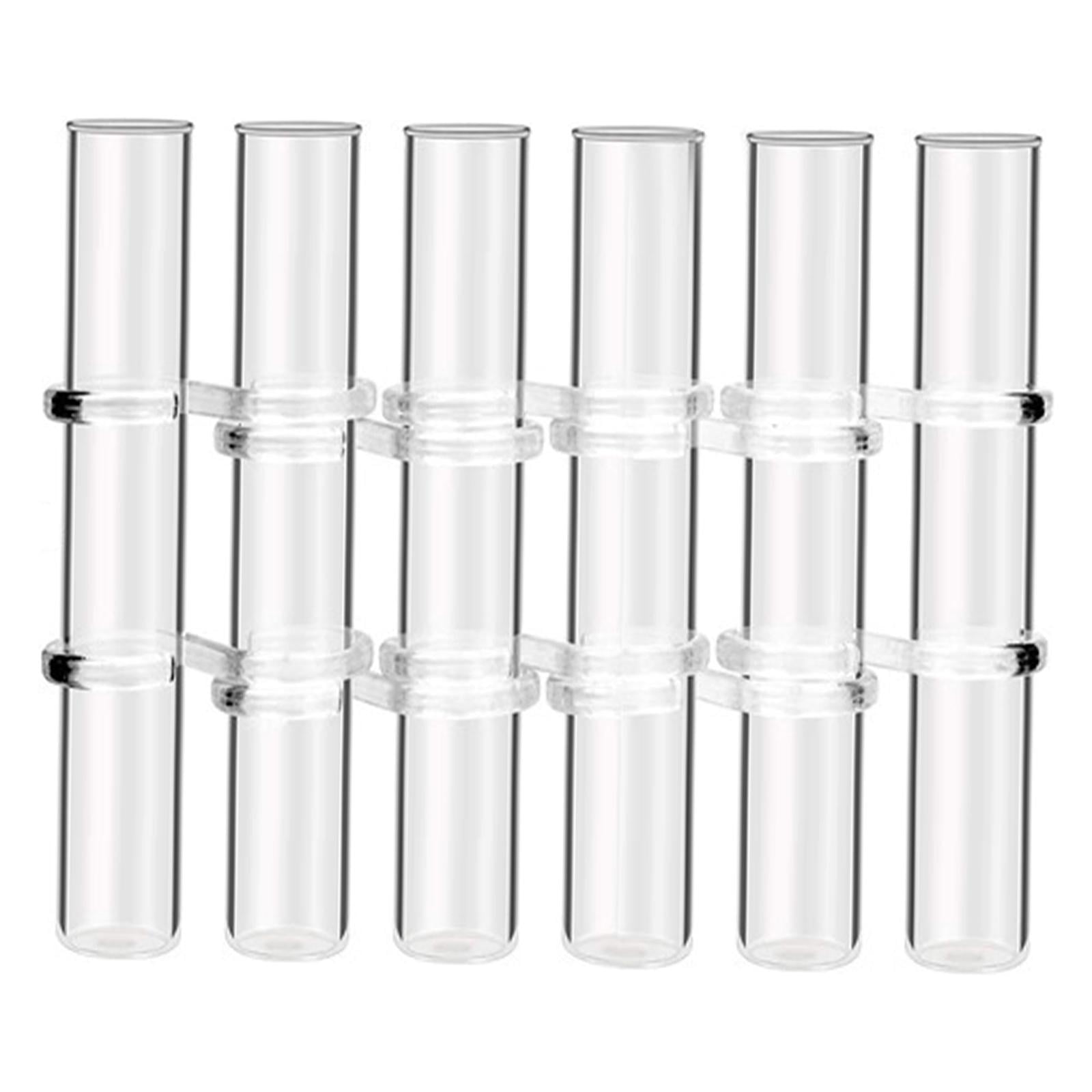 Bothyi - Terrario Florero Florero Macetas De Mesa Soporte De Vidrio Decoración Del Hogar 6 Uds Grandes