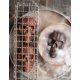 thumbnail image 3 of Sartén para tartas Bakeware Nordic Ware con forma de calavera embrujada, color bronce, 3 of 9