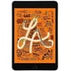 thumbnail image 3 of iPad Mini 5ª Gen Wi fi 64GB Gris Espacial - (Reacondicionado), 3 of 3