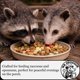 thumbnail image 4 of Mezcla de premios para fauna silvestre MR. OPOSSUM Porch Party Mix™ 1.36 kg, 4 of 9