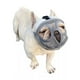 thumbnail image 3 of Bozal Para perros bulldog o Pug Branquicefalos 9-13kg naranja M, 3 of 5