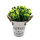 thumbnail image 1 of Planta decorativa artificial, 1 of 2
