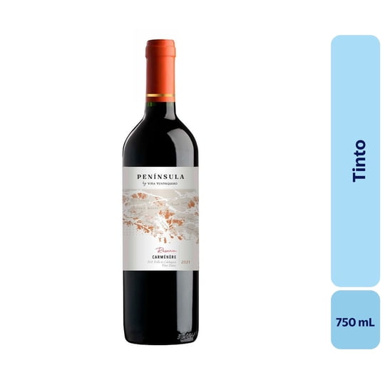 Vino Tinto Botella 750 mL Ventisquero