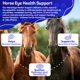 thumbnail image 4 of Suplemento para Caballos HealthyAnimals4Ever 400 g Salud Ocular, 4 of 8