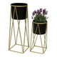 thumbnail image 1 of Set 2 Porta Maceteros Pedestal Maceta Plantas Negro Dorados, 1 of 9