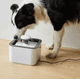 thumbnail image 2 of Bebedero para mascotas dog cat dispensador eléctrico 2L gris 220V, 2 of 3