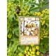 thumbnail image 2 of Juego de Cartas Montrose Biology Ecologies – 108 cartas, 2 of 2