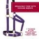 thumbnail image 3 of Cabezada Weaver Equine Desprendible de Espuma para Caballo – Morado, 3 of 6