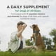 thumbnail image 3 of Suplemento multivitamínico Pet-Tabs para perros, botella de 60 comprimidos, 3 of 7