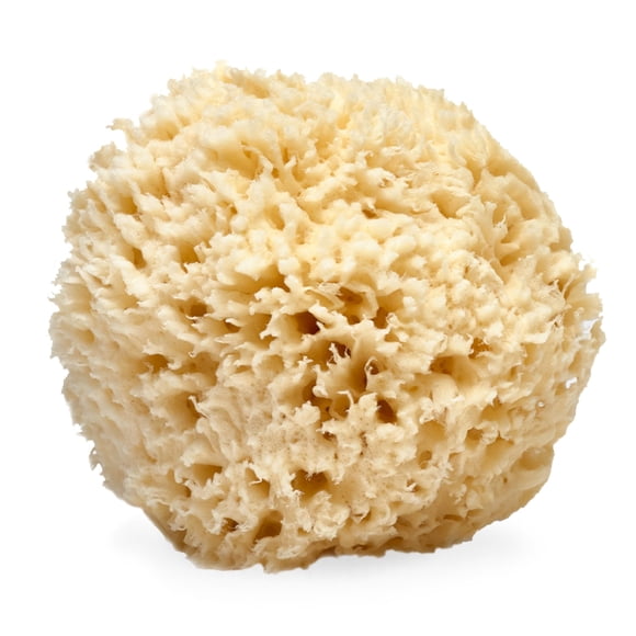 Esponja de lana marina, espuma, exfoliante corporal natural