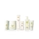 thumbnail image 5 of Gel de ducha Elizabeth Arden White Tea Pure Indulgence 400 ml, 5 of 5