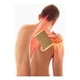 thumbnail image 2 of Pack De 50 Parches Para Alivio De Dolores Musculares Lau, 2 of 3