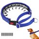 thumbnail image 1 of Collar Ant Tirones Martingale Anglevate de Nylon Reflectante Azul, 1 of 8