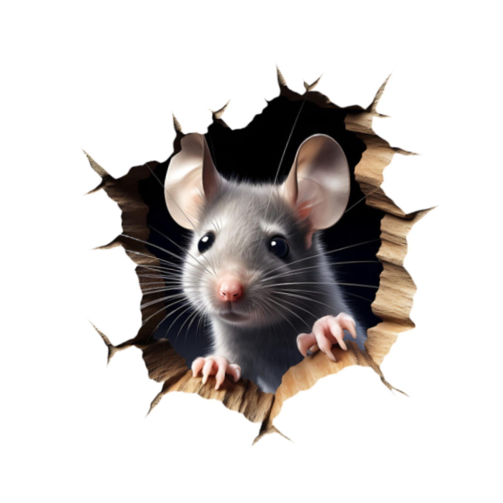 Bothyi - Murales De Calcomanías De Pared Del Mouse Para El Ratón Para La Decoración Del Hogar Del Hogar Del Sofá Del Sofá