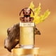 thumbnail image 2 of Perfume MCM Fragrance Collection Darling Doxie Eau de Parfum, 15 ml, 2 of 4
