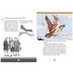 thumbnail image 2 of Juanita, joven patriota blanco, 2 of 3