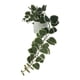 thumbnail image 3 of Planta cadena de corazon artificial, 3 of 4