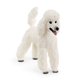 thumbnail image 1 of Figura de juguete Schleich Farm World Poodle para niños mayores de 3 años, 1 of 6