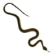 thumbnail image 1 of 5x Serpiente Realista De Goma, Broma Aterradora, Juguete Aterrador, Regalo De Halloween Para Ni?os, 1 of 5