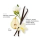 thumbnail image 3 of Perfume ETLEÉ French Vanilla 30 ml Eau de Parfum, 3 of 9