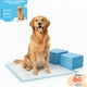 thumbnail image 1 of 60 Pañales Sabanillas Entrenamiento Absorbentes Mascota Perros y Gatos 60x90cm, 1 of 4